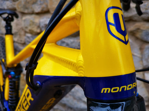 Frame wrap for Mondraker Level R 2021 - r3pro